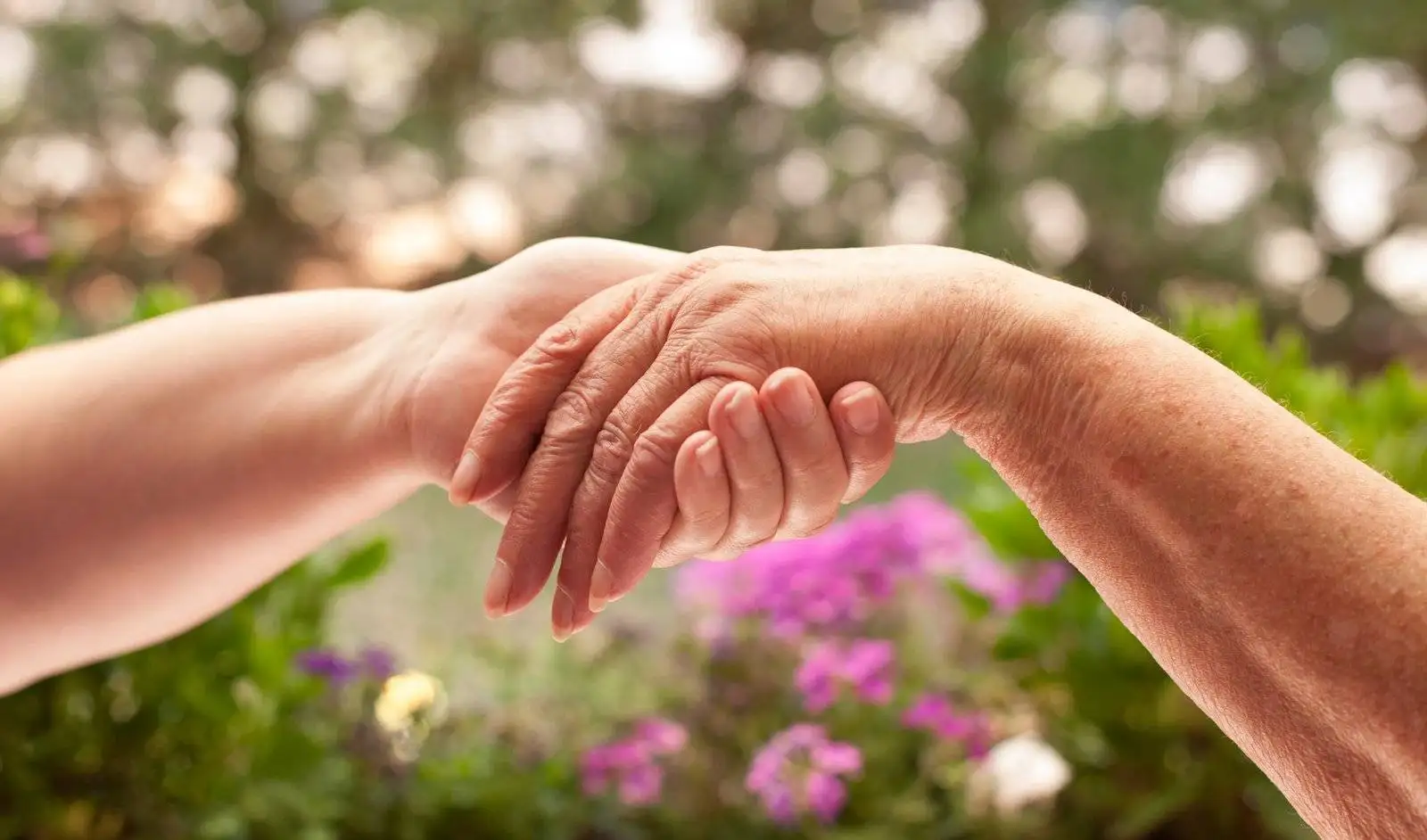 Home Care Services Brampton